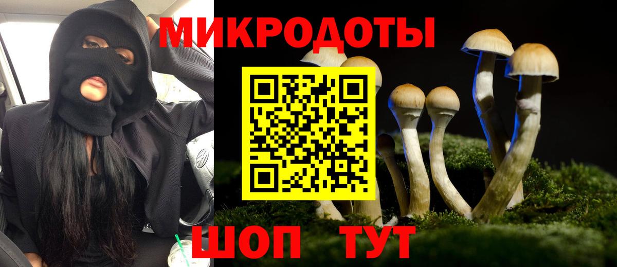 Галлюциногенные грибы прущие грибы Карасук